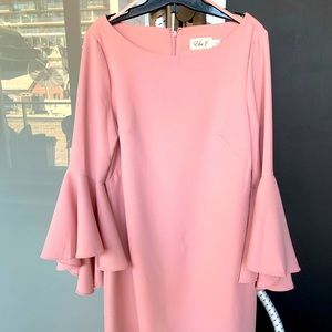 Eliza J Pink dress